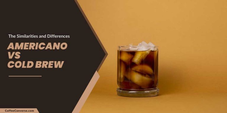 Americano vs Cold Brew: All You Need to Know